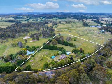 Lifestyle For Sale - NSW - Avoca - 2577 - Charming Country Escape on 12 Acres in Highly Prized Avoca  (Image 2)