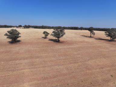 Mixed Farming For Sale - NSW - Gidginbung - 2666 - GREAT STARTER'S/ADDITION BLOCK  (Image 2)