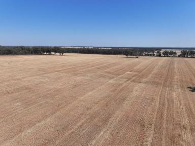 Mixed Farming For Sale - NSW - Gidginbung - 2666 - GREAT STARTER'S/ADDITION BLOCK  (Image 2)