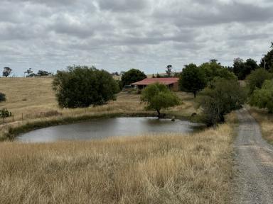 Acreage/Semi-rural For Lease - NSW - Wayo - 2580 - FANTASTIC VIEWS OF PEJAR  (Image 2)