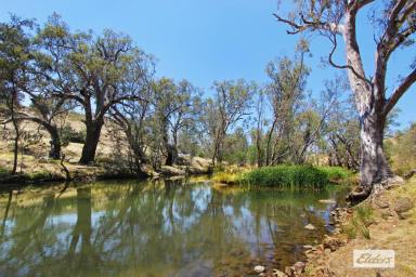 Residential Block For Sale - VIC - Eppalock - 3551 - 60 ACRES ON THE CAMPASPE RIVER  (Image 2)