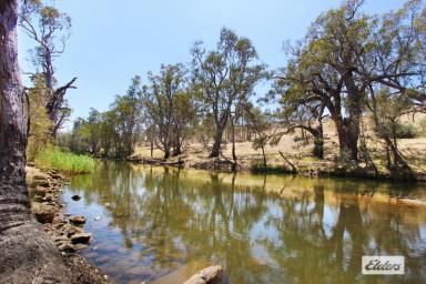 Residential Block For Sale - VIC - Eppalock - 3551 - 60 ACRES ON THE CAMPASPE RIVER  (Image 2)