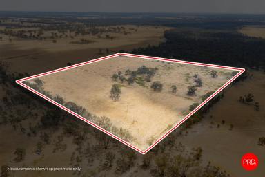 Residential Block For Sale - VIC - Bailieston - 3608 - 31.45ha of Versatile Rural Land  (Image 2)
