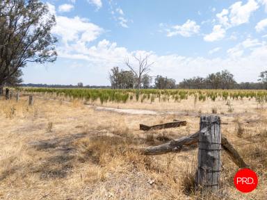 Residential Block For Sale - VIC - Bailieston - 3608 - 31.45ha of Versatile Rural Land  (Image 2)