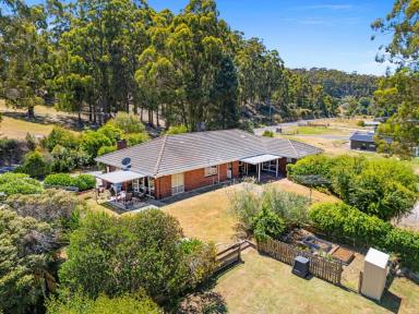 House For Sale - TAS - West Ulverstone - 7315 - Ultimate Family Home on 2.85 Acres, Minutes from the CBD  (Image 2)
