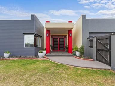 House For Sale - VIC - Eastwood - 3875 - SERIOUS SHEDDING WITH MODERN HOME IN EASTWOOD  (Image 2)