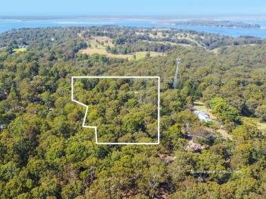 Residential Block For Sale - VIC - Nungurner - 3909 - ULTIMATE GIPPSLAND LAKES ESCAPE ON NEARLY 10 ACRES  (Image 2)