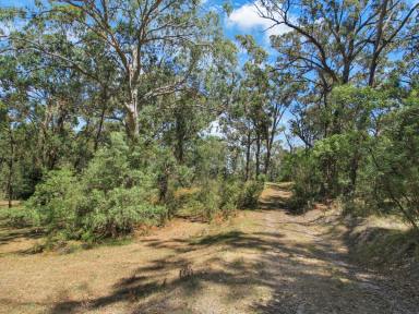 Residential Block For Sale - VIC - Nungurner - 3909 - ULTIMATE GIPPSLAND LAKES ESCAPE ON NEARLY 10 ACRES  (Image 2)