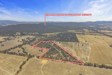 Other (Rural) For Sale - VIC - Redbank - 3477 - 53.61 Acres with Approved Building Permit – Redbank  (Image 2)