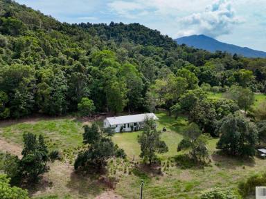 House For Sale - QLD - Tully - 4854 - Private Acreage Retreat with Creek, Orchard & Endless Potential – Now $699,000  (Image 2)