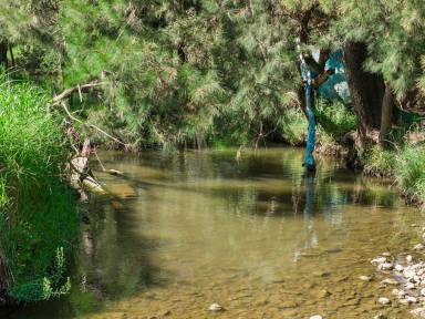 Lifestyle For Sale - QLD - Maryvale - 4370 - ABSOLUTE CRACKER OF A PROPERTY, an EVERYDAYER or WEEKENDER  (Image 2)