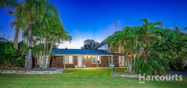 House For Sale - QLD - Gin Gin - 4671 - Spacious Family Home with Resort-Style Living & Exceptional Shedding!  (Image 2)