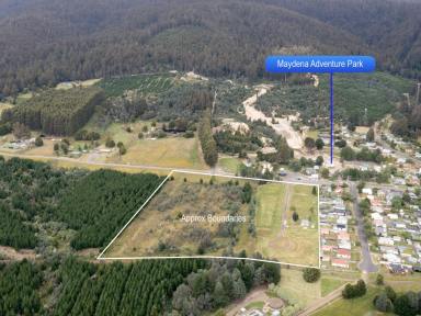 House For Sale - TAS - Maydena - 7140 - Adventure, Development & Lifestyle Potential in the Heart of Maydena  (Image 2)