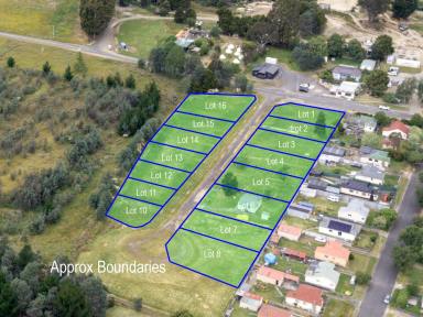 House For Sale - TAS - Maydena - 7140 - Adventure, Development & Lifestyle Potential in the Heart of Maydena  (Image 2)