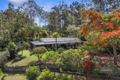 House For Sale - QLD - Curra - 4570 - 5-ACRE LIFESTYLE SANCTUARY IN CURRA  (Image 2)
