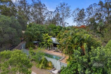 House For Sale - QLD - Curra - 4570 - 5-ACRE LIFESTYLE SANCTUARY IN CURRA  (Image 2)