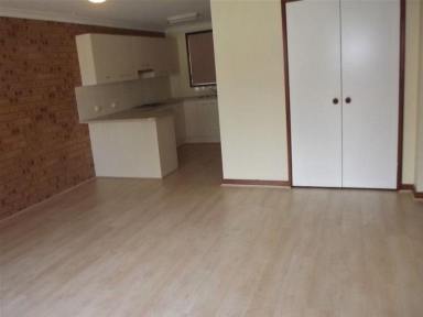 Unit For Lease - NSW - Denman - 2328 - Just Renovated  (Image 2)