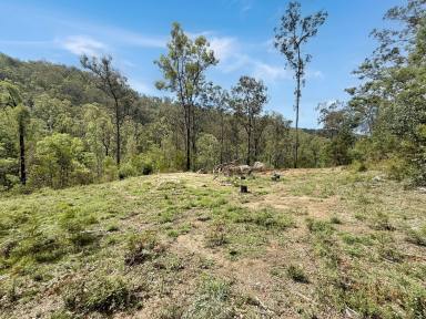 Lifestyle For Sale - NSW - Paynes Crossing - 2325 - 80 Acres of Pristine Bushland  (Image 2)