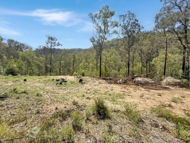 Lifestyle For Sale - NSW - Paynes Crossing - 2325 - 80 Acres of Pristine Bushland  (Image 2)
