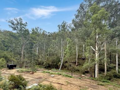 Lifestyle For Sale - NSW - Paynes Crossing - 2325 - 80 Acres of Pristine Bushland (Image 2)
