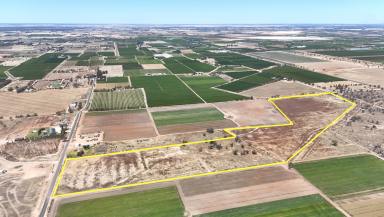 Lifestyle For Sale - VIC - Woorinen North - 3589 - A Versatile Rural Canvas Just Minutes from Town (Image 2)