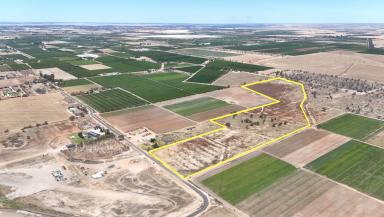 Lifestyle For Sale - VIC - Woorinen North - 3589 - A Versatile Rural Canvas Just Minutes from Town (Image 2)