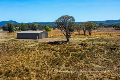 Lifestyle For Sale - NSW - Rylstone - 2849 - PEACEFUL RECREATIONAL RETREAT (Image 2)