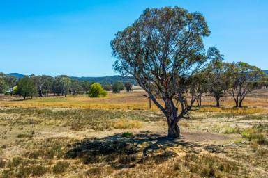 Lifestyle For Sale - NSW - Rylstone - 2849 - RECREATIONAL RETREAT  (Image 2)