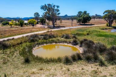 Lifestyle For Sale - NSW - Rylstone - 2849 - RECREATIONAL RETREAT  (Image 2)
