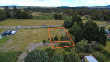 Residential Block For Sale - TAS - Waratah - 7321 - Blank Canvas in Waratah  (Image 2)