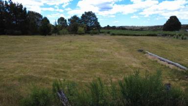 Residential Block For Sale - TAS - Waratah - 7321 - Flat, Clear & Ready to Build  (Image 2)