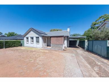 House For Sale - SA - Elizabeth Downs - 5113 - Live in and love, or invest and prosper?  (Image 2)