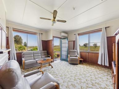 House For Sale - NSW - Lower Southgate - 2460 - CLARENCE RIVER FRONTAGE WITH MASSIVE SHEDDING  (Image 2)