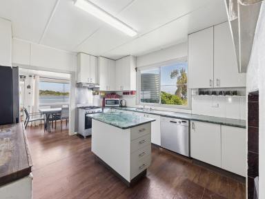 House For Sale - NSW - Lower Southgate - 2460 - CLARENCE RIVER FRONTAGE WITH MASSIVE SHEDDING  (Image 2)