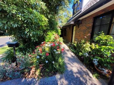 House For Lease - VIC - Vermont - 3133 - Perfect location in a beautiful area with a spacious backyard.  (Image 2)