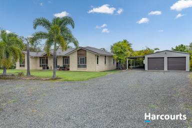 House For Sale - QLD - Redridge - 4660 - LARGE LOW SET HOME - TOWN WATER - 2 ACRES  (Image 2)