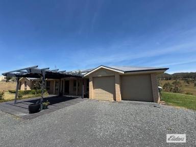 House For Lease - NSW - Candelo - 2550 - Large Candelo Home  (Image 2)