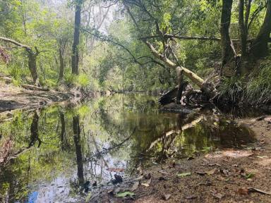 Lifestyle For Sale - QLD - South Isis - 4660 - 158 ACRES / AMPLE OF SHED SPACE / GREAT WEEKENDER OR LAY DOWN YARD  (Image 2)