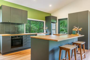 House For Sale - NSW - Kyogle - 2474 - Elevated Living with Sweeping Views  (Image 2)