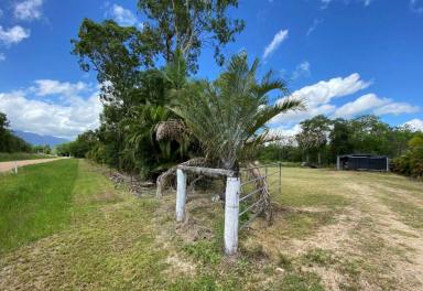 Residential Block For Sale - QLD - Kennedy - 4816 - Lifestyle Block with Shed, Dam and House Pad – Perfect Rural Getaway  (Image 2)