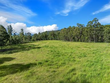 Lifestyle For Sale - NSW - Bonalbo - 2469 - DISCOVER THE CHARM OF DUCK CREEK  (Image 2)