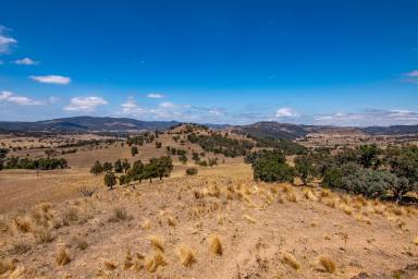 Other (Rural) For Sale - NSW - Spring Flat - 2850 - LARGE ACRES CLOSE TO MUDGEE  (Image 2)