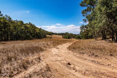 Other (Rural) For Sale - NSW - Spring Flat - 2850 - LARGE ACRES CLOSE TO MUDGEE  (Image 2)