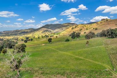 Other (Rural) For Sale - NSW - Spring Flat - 2850 - LARGE ACRES CLOSE TO MUDGEE  (Image 2)