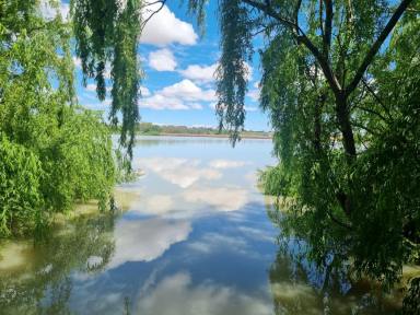 Lifestyle For Sale - SA - Tailem Bend - 5260 - 266 Acre Riverfront Property with title into the River!!  (Image 2)