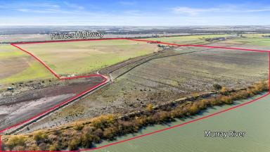 Lifestyle For Sale - SA - Tailem Bend - 5260 - 266 Acre Riverfront Property with title into the River!!  (Image 2)