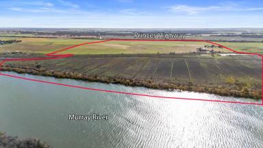 Lifestyle For Sale - SA - Tailem Bend - 5260 - 266 Acre Riverfront Property with title into the River!!  (Image 2)