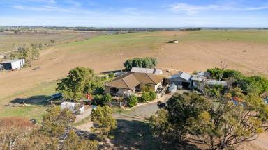 Lifestyle For Sale - SA - Tailem Bend - 5260 - 266 Acres. Over 1 Km of Murray River Frontage. Endless Possibilities. (Image 2)