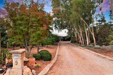 House For Sale - VIC - Cabarita - 3505 - Cabarita is calling! (Image 2)