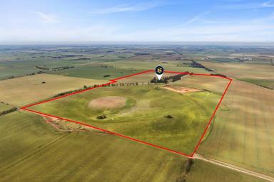 Cropping For Sale - VIC - Tatyoon - 3378 - HISTORIC PRODUCTIVE ARARAT DISTRICT PROPERTY (Image 2)